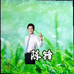 陈锋